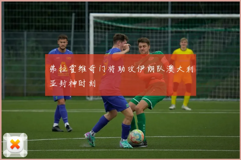 弗拉霍维奇门将助攻伊朗队澳大利亚封神时刻
