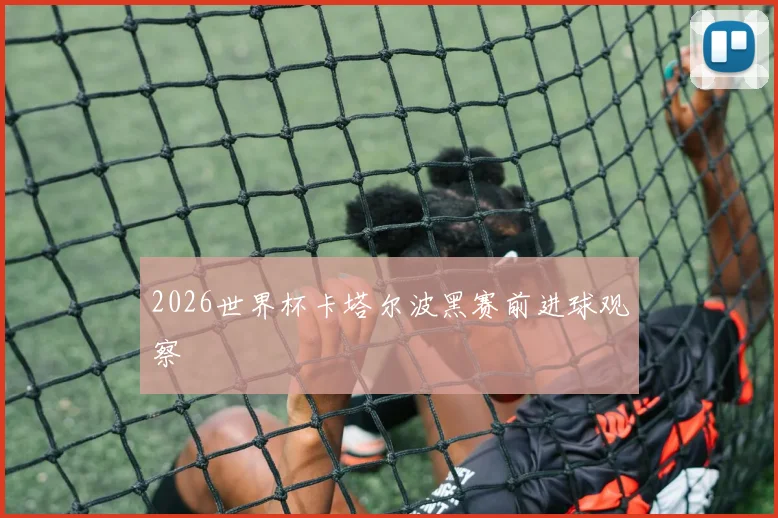 2026世界杯卡塔尔波黑赛前进球观察