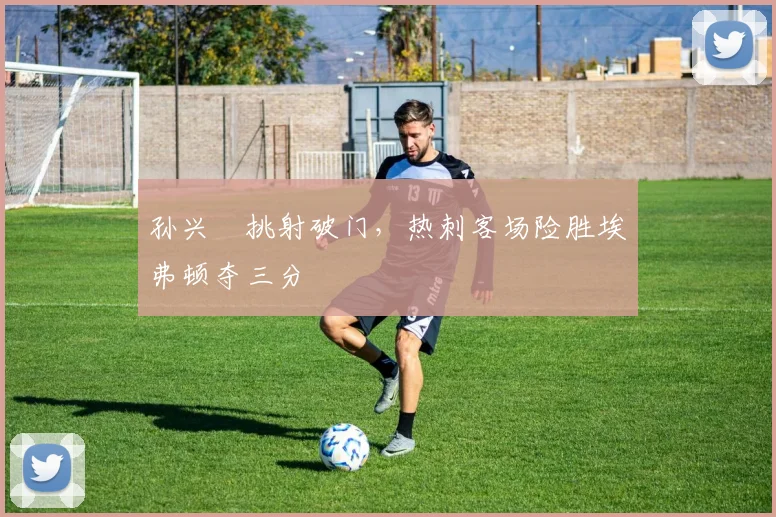 孙兴慜挑射破门，热刺客场险胜埃弗顿夺三分
