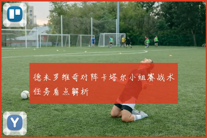 德米罗维奇对阵卡塔尔小组赛战术任务看点解析