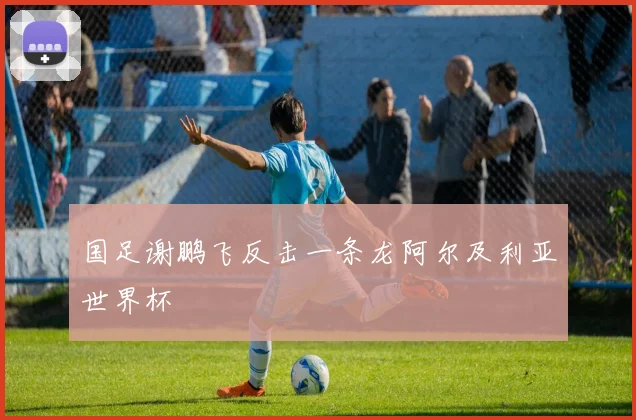 国足谢鹏飞反击一条龙阿尔及利亚世界杯
